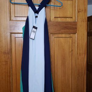 BCBG Maxazria Aaila Colorblock Dress